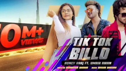Tiktok Billo-Honey Raaj/pk music