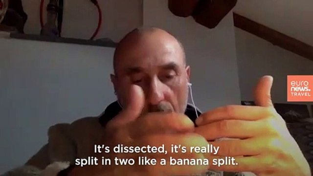 Every argument for killing animals debunked: The ethical case for veganism