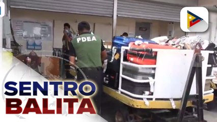 PDEA-CARAGA, mas pinaigting pa ang pagbantay vs. marijuana