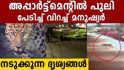 Leopard enters Bengaluru apartment complex again