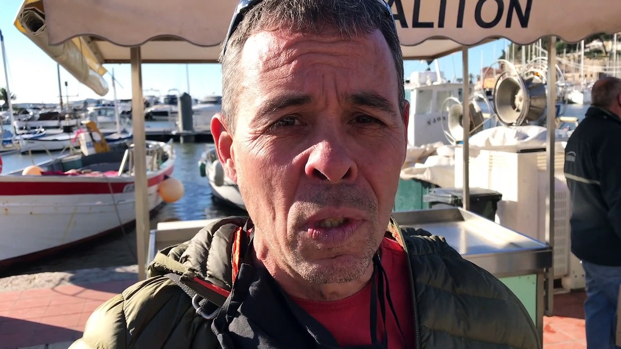 Droits de port à Sanary: les pêcheurs retraités ruent dans les brancards