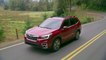 2020 Subaru Forester Limited Driving Video