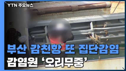 부산 감천항 하역 노동자 집단 감염...감염원 '오리무중' / YTN