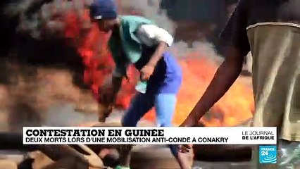 Detention d'opposants en Guinée : Thomas Rudigoz interpelle le Gouvernement Macron