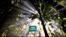 Planeta Humano 4/8:  Junglas [Documental HD]