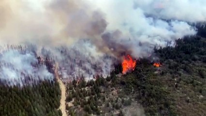 Incêndio florestal no sul da Argentina