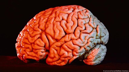 Futurando - Edição de 27/01/2021