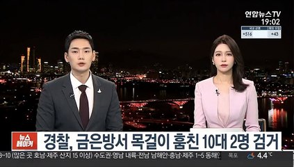 경찰, 금은방서 목걸이 훔친 10대 2명 검거