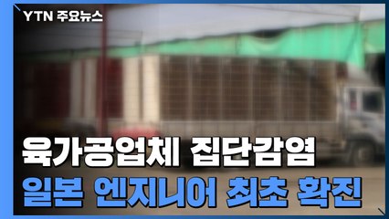 이번엔 육가공 업체 집단 감염...인근 도심 전파 우려 / YTN