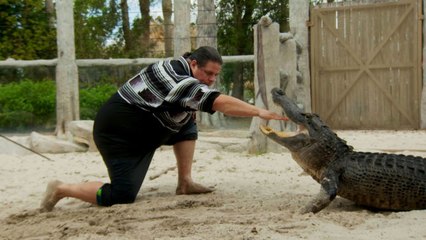 The Seminole Tribe Perfected Alligator Wrestling