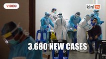 Covid-19_ 3,680 new cases, 7 deaths