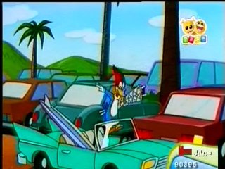 نقار الخشب -  أبطال الموج