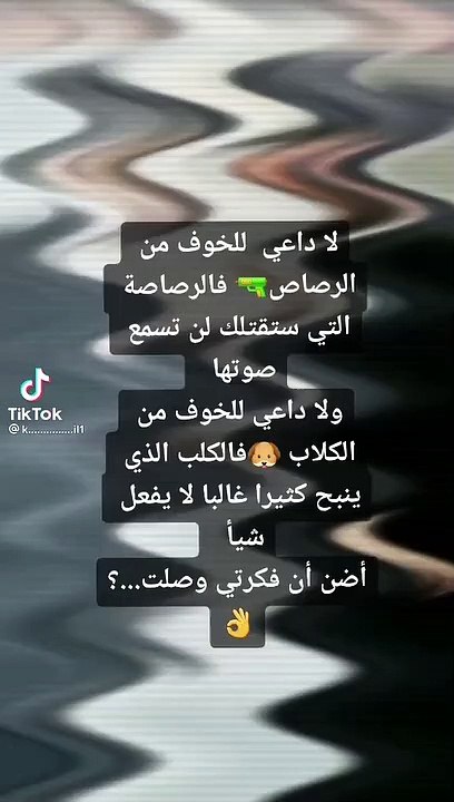 لا داعي للخوف من الرصاص .حالات واتس اب