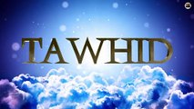 SALIH - PROPHÈTES DU TAWHID - Episode 3 - Minute Islam