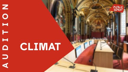Convention citoyenne pour le climat : quelles perspectives ?