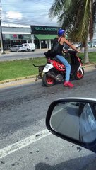 Doggy Stretches Its Legs While Waiting for a Traffic Light