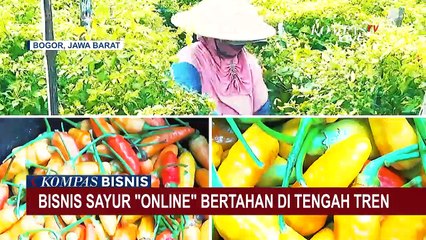 Bisnis Sayur Online Jadi Tren dan Bertahan Di Tengah Pandemi