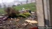 Natural Disaster - Terrifying Tornado videos You never seen before.