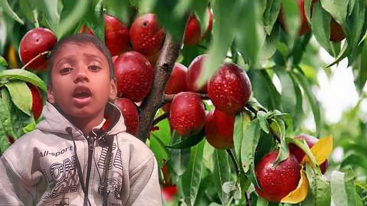 আঙ্গুল চোষার ফ‍্যাসাদ