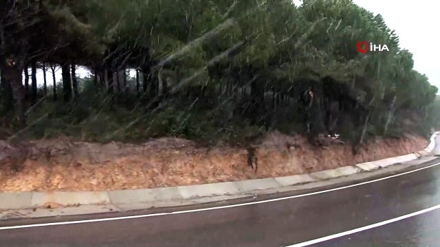 İstanbul Anadolu Yakasında kar yağışı etkili oluyor