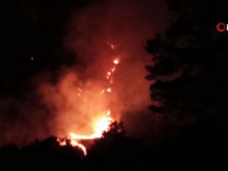 Trabzon'da çıkan örtü yangınları başladı, evler boşaltıldı