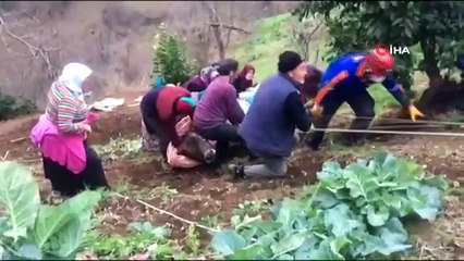 Uçurumun kenarında kalan inek uzun uğraşlar sonucu kurtarıldı