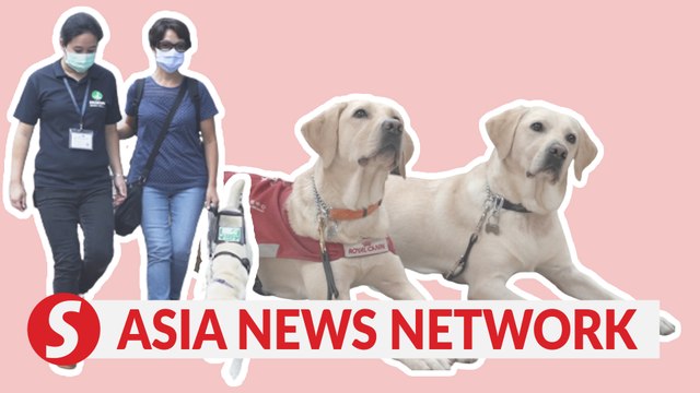 China Daily | Girl City: How to guide a visually-impaired person