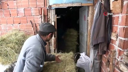 Besicilerin Kış Ayında Zorlu Mesaisi