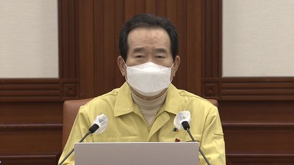 정 총리 "현재 거리두기 단계 설 연휴까지 2주 연장" / YTN