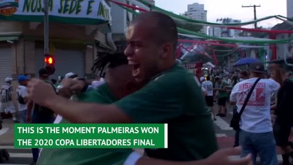 Palmeiras fans celebrate Copa Libertadores triumph