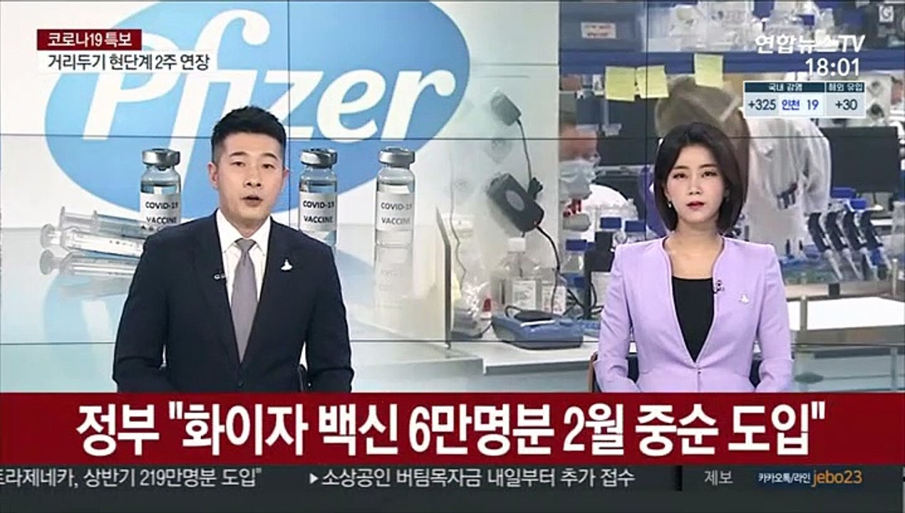 정부 "화이자 백신 6만명 분 2월 중순 도입"
