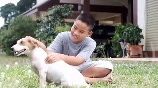 Boy playing with his dog sitting on the grass