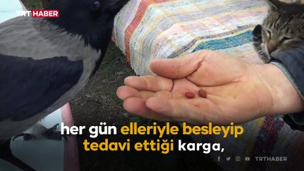‘Karga Haydar’ otomobil tutkusuyla görenleri şaşırtıyor