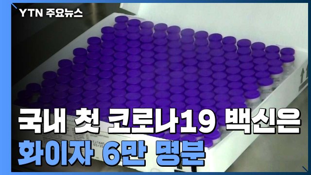 첫 백신은 화이자 6만 명분 ...접종 일정 구체화 / YTN