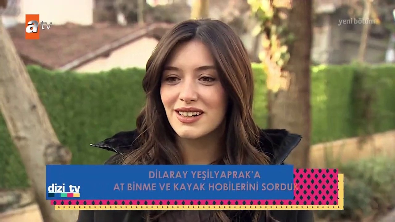 Dizi TV