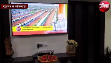 गुरलीन चावला जिन्होंने सूखे बुंदेलखंड में उगाई उम्मीद की 'स्ट्रॉबेरी