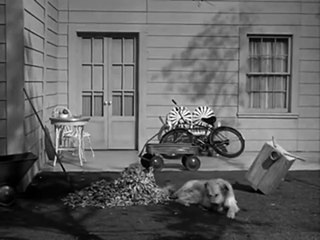 American Sitcom Television - My Three Sons Season 1 Episode 11