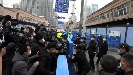 Suche nach den Corona-Ursprüngen: WHO-Experten besuchen Markt in Wuhan