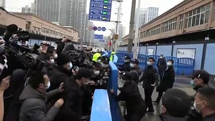 Suche nach den Corona-Ursprüngen: WHO-Experten besuchen Markt in Wuhan