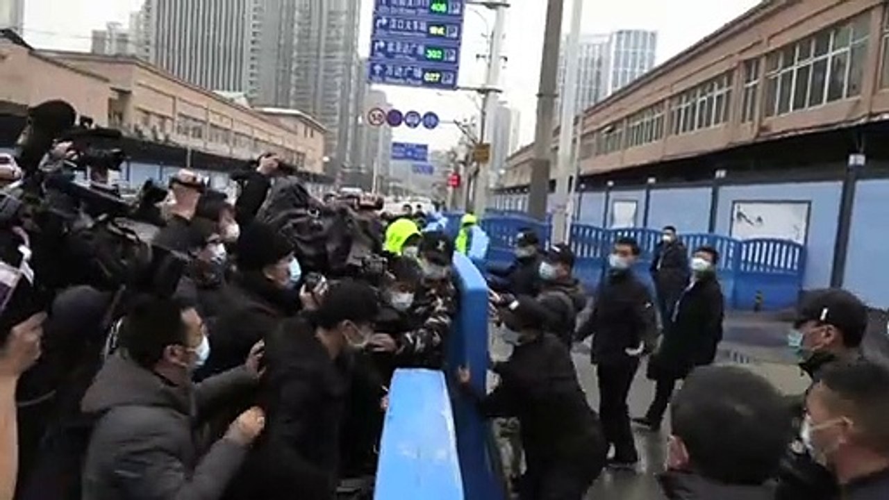 Suche nach den Corona-Ursprüngen: WHO-Experten besuchen Markt in Wuhan