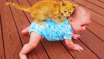 Komik Bebek ve Kedi - Komik Bebek Videosu
