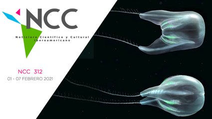 Noticiero Científico y Cultural Iberoamericano, emisión 312. 01 al 07 de febrero de 2021