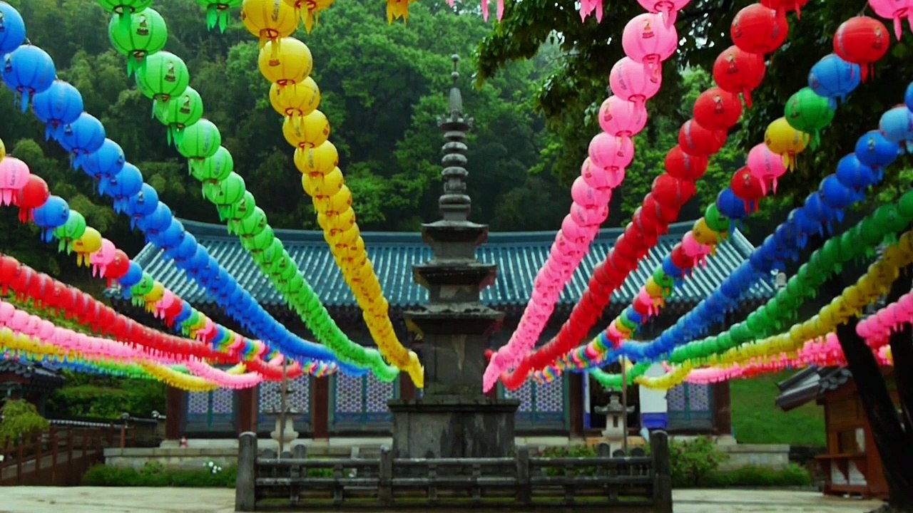 ENCUENTRA LA ILUMINACIÓN CON LOS 53 SUTRAS DE BUDA EXPLICADOS. SUTRA 14. TODOS AMARÁN LA VIDA