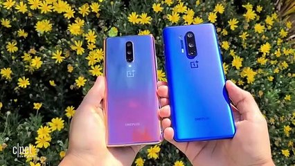 OnePlus 8 Pro y OnePlus 8 Análisis tras 2 semanas de uso