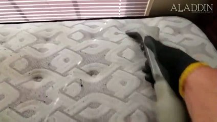 P1- Mattress Cleaning (compressed)