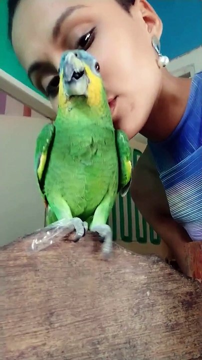 Ornery Parrot Chuckles after a Peck