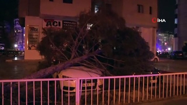 Şiddetli rüzgar çatıları uçurdu, ağaçları yerinden söktü