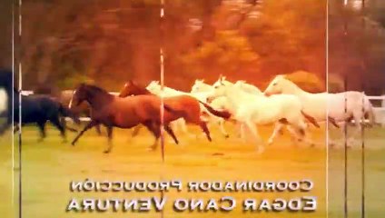 Quererlo Todo - Capitulo 41 Completo