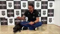 Cachorro que era arrastado em via pública em Colombo é resgatado pela Delegacia de Meio Ambiente