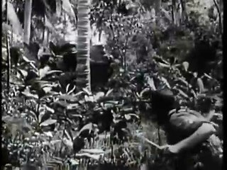 20,000 Leagues Under the Sea (1916) [Silent Movie] [Adventure] [Science Fiction] part 2/2